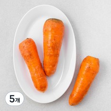국내산 친환경 세척당근, 500g, 5개