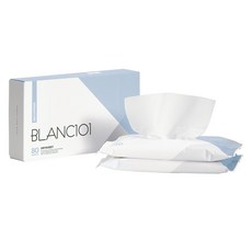 블랑101 건조기 시트 섬유유연제 시그니처 본품, 40매, 2개