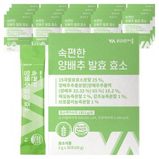 비타민마을 속편한 양배추 발효 효소, 60g, 20개
