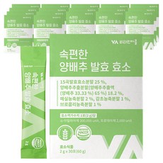 비타민마을 속편한 양배추 발효 효소, 60g, 18개