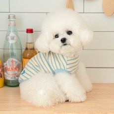 PETSLAND 狗狗Rocky T恤, 天藍色