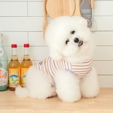 PETSLAND 狗狗Rocky T恤, 紫色