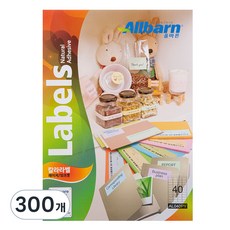 올바른 칼라라벨 연노랑 레이저 잉크젯공용 4X10 AL040PY, 40칸, 300개