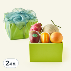 온브릭스 과일 5종 옐로우그린 1호 + 보자기, 2세트