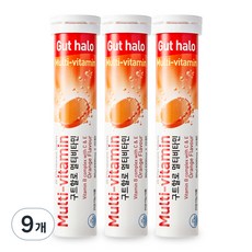 구트할로 멀티비타민 오렌지맛, 20정, 9개