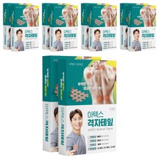 아텍스 스포츠 근육 격자테이프 혼합타입 A형 45p + B형 18p + C형 4p, 67매, 10세트