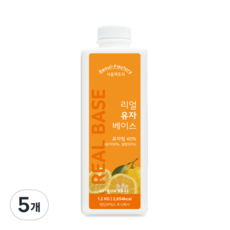 서울팩토리 리얼 유자 베이스, 1.2kg, 5개