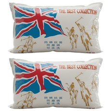 MIT台灣製造 英國品牌 抗菌Q彈壓縮枕, 白色, 2顆