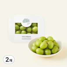 바로먹는 크리스피 청포도, 500g, 2개
