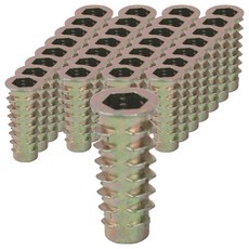 ALLGORR 蛹形螺母 墊圈型, 2個