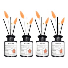 엠퓨처 프리미엄 화장실 실내 방향제 디퓨저 + 리드꽃 랜덤발송 2p 세트, 더포멜로, 150ml, 2세트