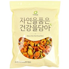 자연닮음 국산 치자 열매, 600g, 1개