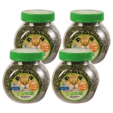 Canary 正午嫩採 22g C-S420 - 貓咪零食, 貓薄荷, 4個