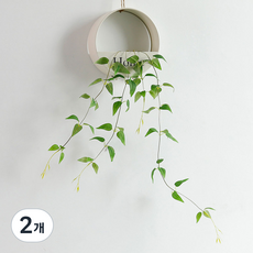 anplant 假花微笑藤蔓裝飾, 綠色, 2個
