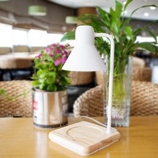 the Sweet Mono Wood 旋鈕開關融蠟燈, 白色