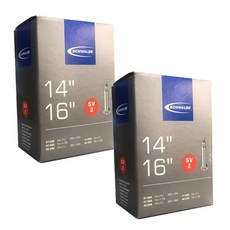 SCHWALBE 自行車內胎氣嘴 SV2, 2個