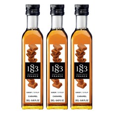 1883메종루틴 루틴 카라멜 시럽, 250ml, 3개