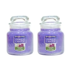 YANKee CANDLe 香氛蠟燭, 紫丁香, 104g, 2個