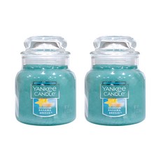 YANKEE CANDLE 香氛蠟燭 S號 隨機出貨, 2個, 巴哈馬微風