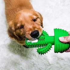 딩동펫 반려동물 선인장 셀프칫솔 9.5 x 15.5 cm, 1개