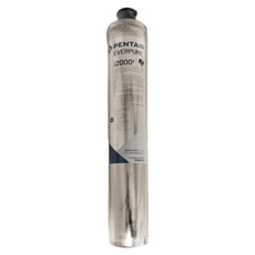 EVERPURE I2000濾心 立凡公司貨 除氯除異味, 1個