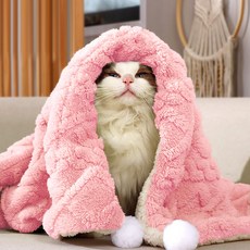 딩동펫 반려동물 방울방울 극세사 포근 이불 담요, 핑크, 1개