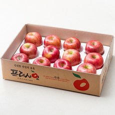 프레샤인 GAP 인증 당도선별 충주사과, 5kg(특대과, 10~13입), 1박스