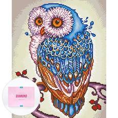 DCLARE 相框畫布型鑽石畫 DIY 套組 40 x 50 cm, 1套, 幸運貓頭鷹