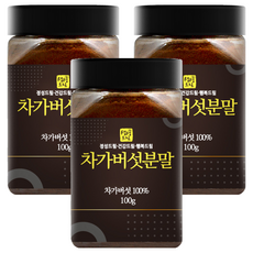 생생드림 차가버섯 분말, 100g, 3개