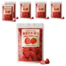 비니플랑센 동결건조 딸기 스윗베리칩, 110g, 6개