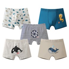 드림블루 남아용 학생 팬티 5종 세트