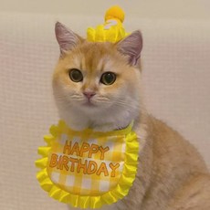 딩동펫 반려동물 체크 레이스 생일파티 케이프 + 모자 세트, 옐로우, 1세트