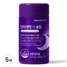 홀리데이즈 잔티젠핏 더 슬림, 28정, 5개 28정, 5개