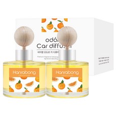 ODORE 車用擴香瓶 120ml + 木棒擴香棒 + 雙面膠帶組合, 2個, 漢拏峰