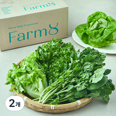 팜에이트 무농약 인증 유러피안 루꼴라 믹스 샐러드, 460g, 1개입, 2개