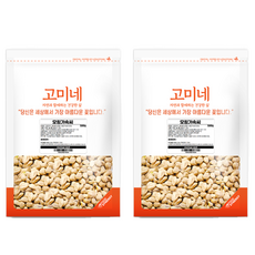 고미네 모링가속씨, 500g, 2개