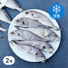 영광 백조기 오가 굴비 10미 (냉동), 2개, 1.2kg