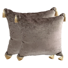 J&N 艾爾絲絨抱枕 2入/組 正方形 填充棉, 駝色