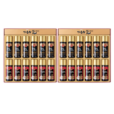 壯快蔘 元精誠5號 發酵紅蔘 50ml x 6入 + 山蔘培養根 50ml x 6入, 2套