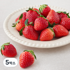 아주마 유기농 인증 산지직송 설향딸기, 500g(대과), 5박스