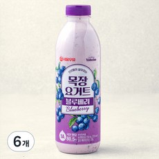 서울우유 신선함이 살아있는 목장 요거트 블루베리, 750ml, 1개입, 6개