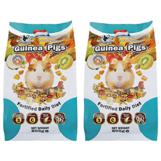 PET VILLAGE 魔法村 天竺鼠天然水果大餐, 800g, 2包