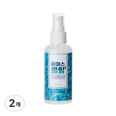 나담 아이스쿨링 스프레이, 80ml, 2개