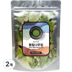 동이약초 황칠나무잎, 150g, 2개