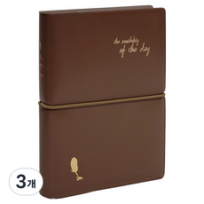 아이씨엘디자인 오브더데이 플래너 다이어리 M, 초콜렛, 3개