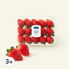 프리미엄 장희딸기, 350g, 3개