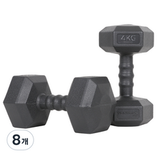 아이워너 맨즈 육각아령 블랙, 4kg, 8개