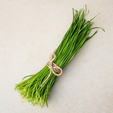 곰곰 국내산 영양부추, 100g, 1개