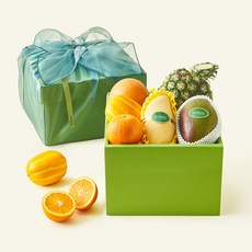 온브릭스 과일 6종 선물세트 토파즈 2호 3.45kg 고급보자기 포함, 1세트