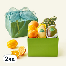 온브릭스 과일 6종 선물세트 토파즈 2호 3.45kg 고급보자기 포함, 2세트